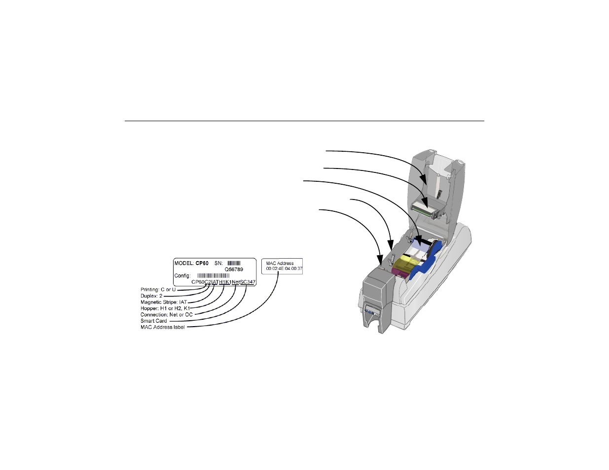 The inside of the printer, Features and options, Features and | Datacard Group CP60 User Manual | Page 8 / 134