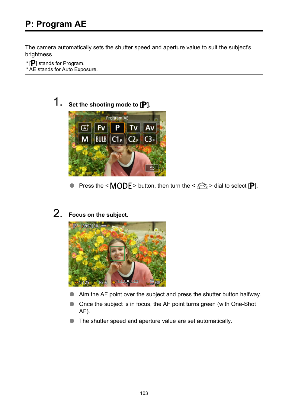 P: program ae | Canon EOS R5 C VR Creator Kit with RF 5.2mm f/2.8 Dual Fisheye Lens User Manual | Page 103 / 787