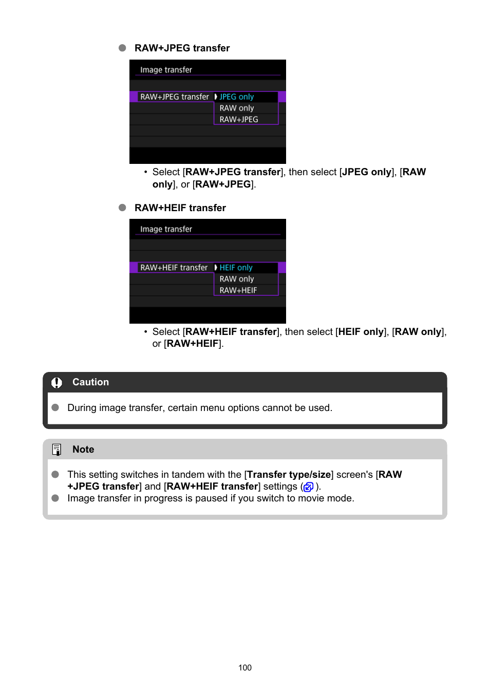 Canon WFT-R10A Wireless File Transmitter for EOS R5 C & R5 Mirrorless Camera User Manual | Page 100 / 176