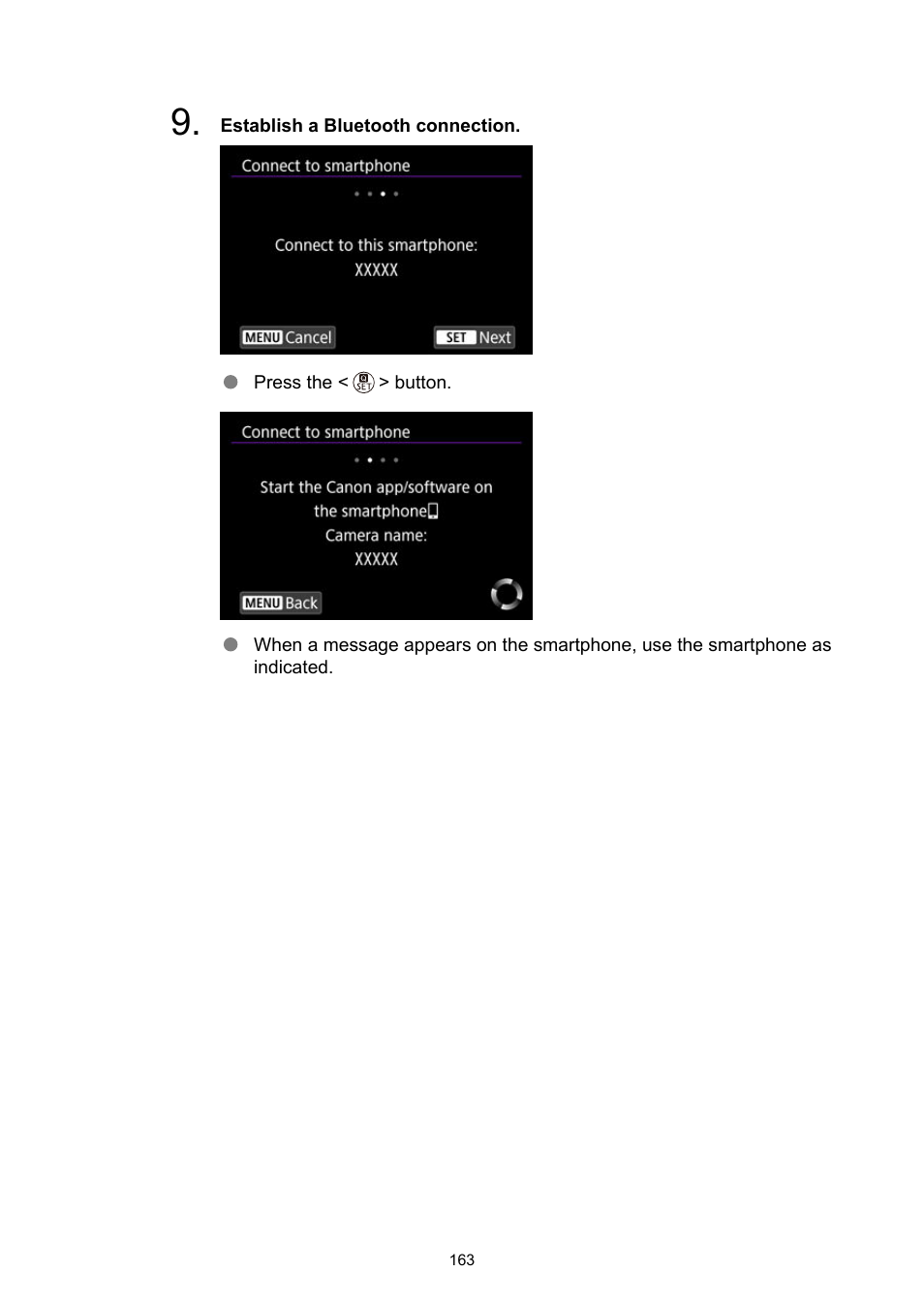Canon PowerShot V10 Vlog Camera (Black) User Manual | Page 163 / 288