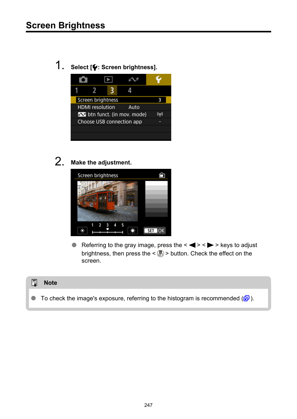 Screen brightness | Canon PowerShot V10 Vlog Camera (Black) User Manual | Page 247 / 288