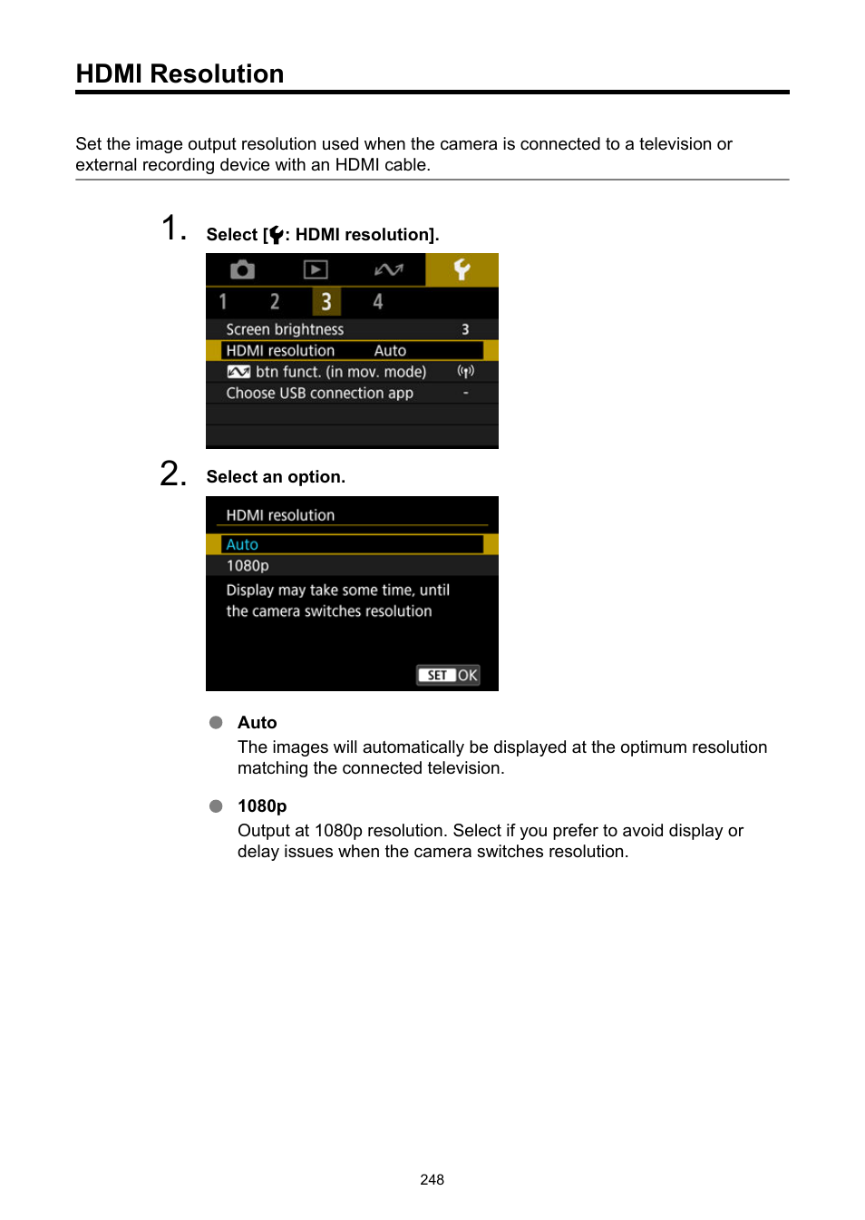 Hdmi resolution | Canon PowerShot V10 Vlog Camera (Black) User Manual | Page 248 / 288