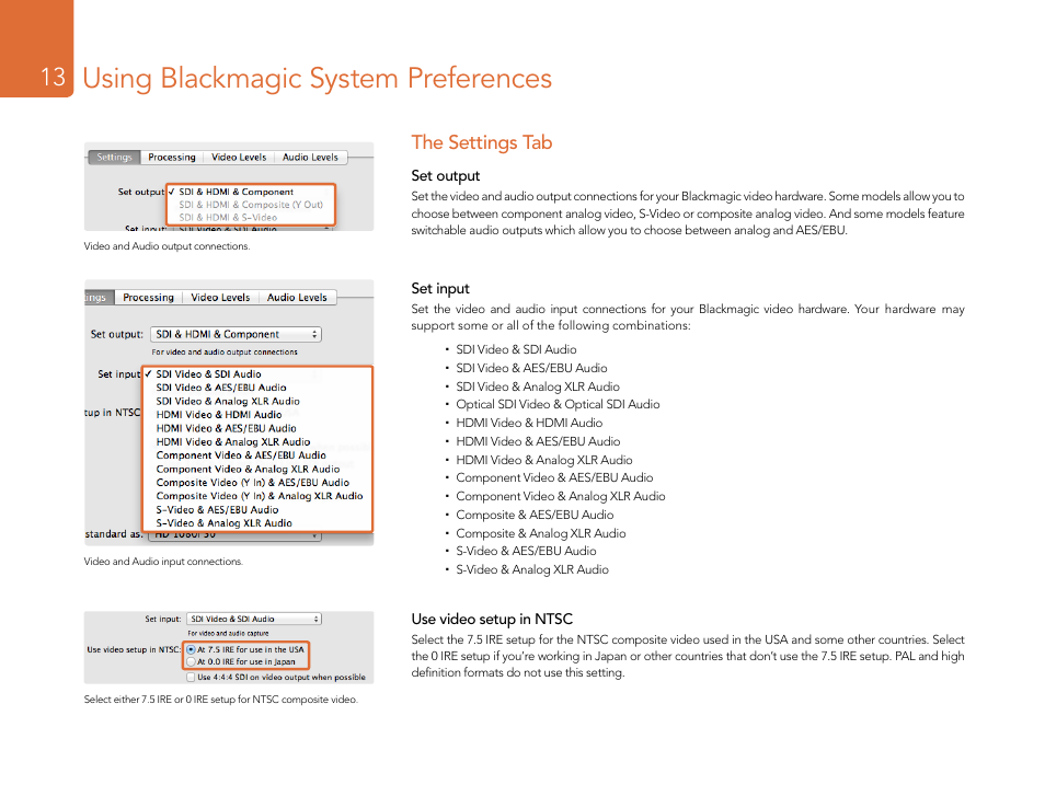 The settings tab, Using blackmagic system preferences | Blackmagic Design DeckLink Studio 4K Capture & Playback Card User Manual | Page 13 / 295