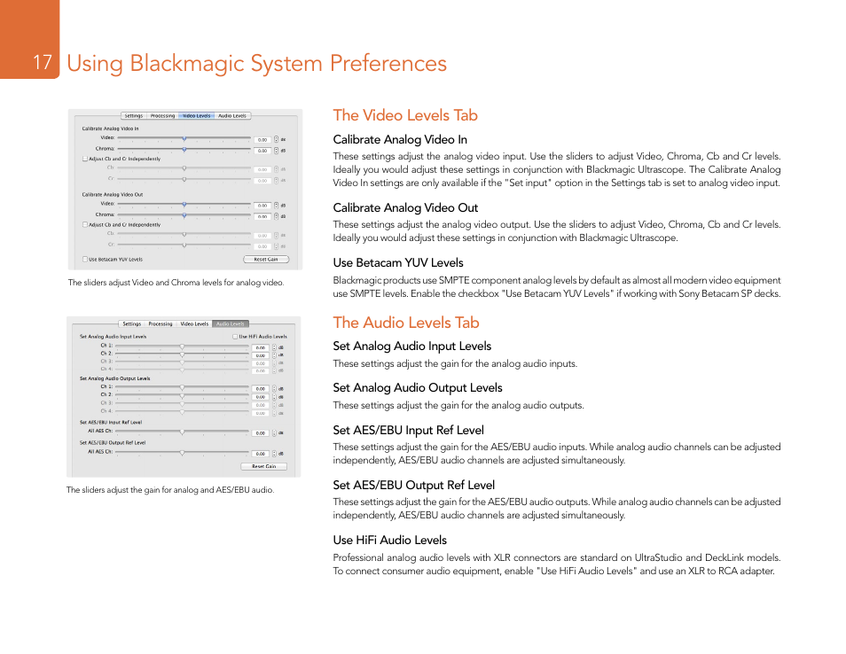 Using blackmagic system preferences, The video levels tab, The audio levels tab | Blackmagic Design DeckLink Studio 4K Capture & Playback Card User Manual | Page 17 / 295