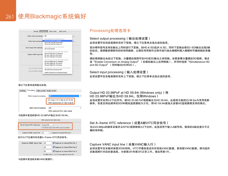 Processing处理选项卡, 使用blackmagic系统偏好 | Blackmagic Design DeckLink Studio 4K Capture & Playback Card User Manual | Page 261 / 295