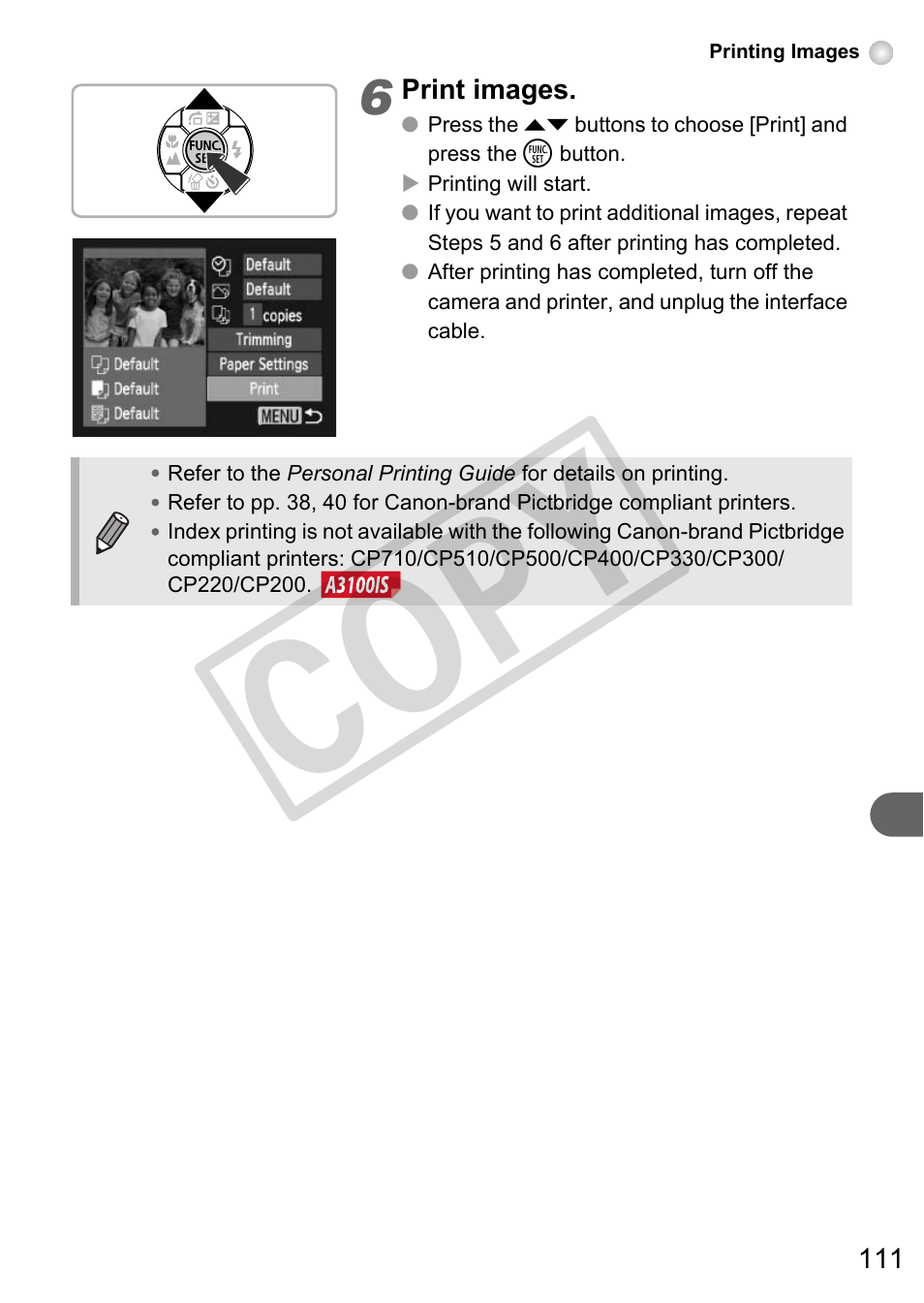 Co py | Canon A3000 IS User Manual | Page 111 / 148