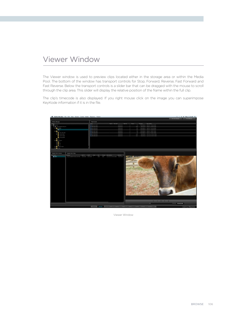 Viewer window | Blackmagic Design DaVinci Resolve Advanced Panel User Manual | Page 106 / 435