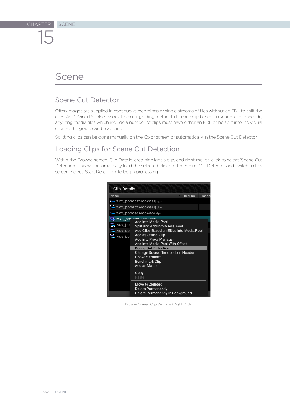 Scene | Blackmagic Design DaVinci Resolve Advanced Panel User Manual | Page 357 / 435