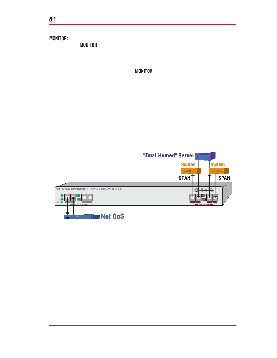 Application & hardware installation, Dual-homed’ server application, Datacom systems inc | Datacom Systems SS series SPAN User Manual | Page 21 / 44