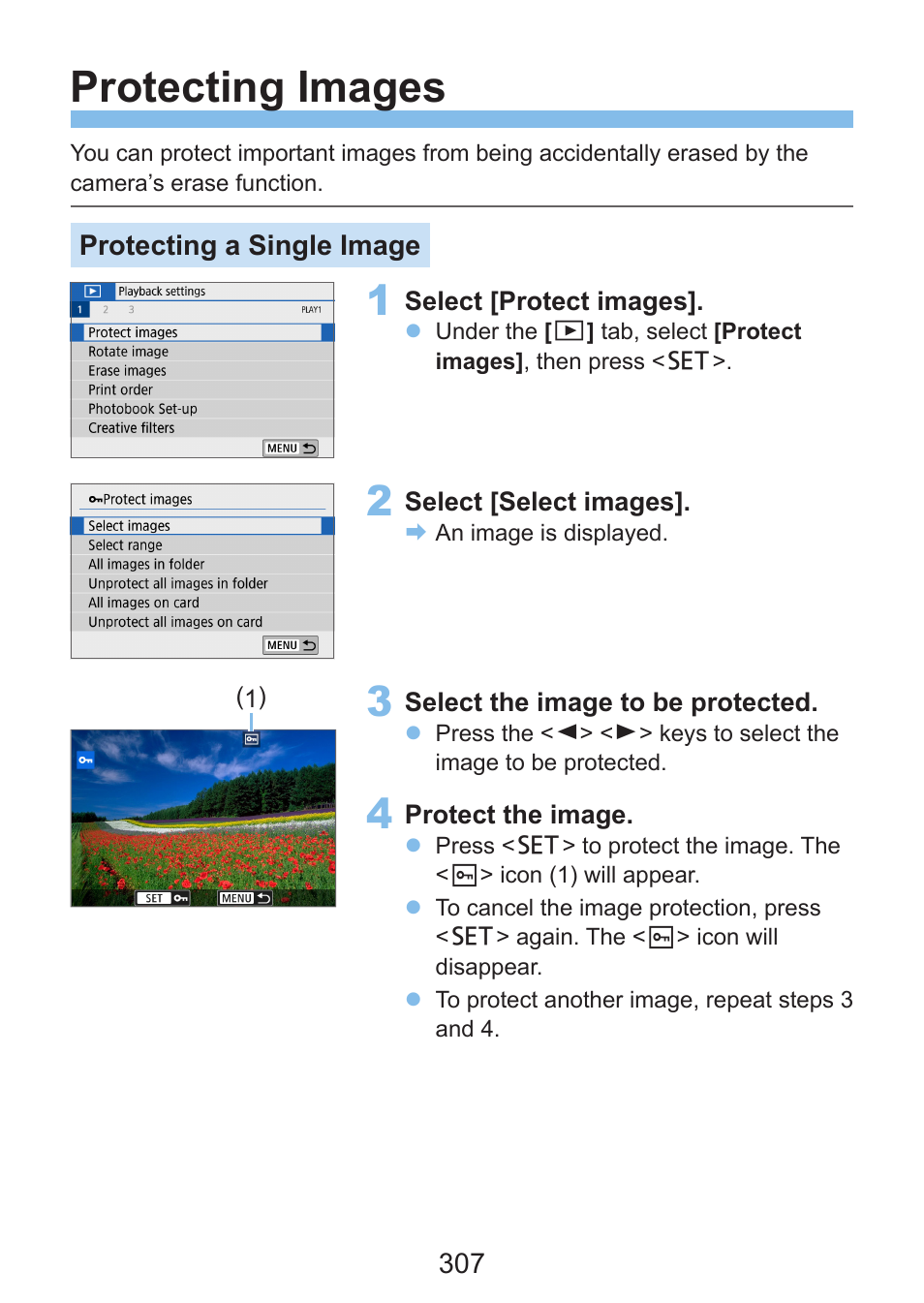 Protecting images, 307) and | Canon EOS Rebel SL3 DSLR Camera with 18-55mm Lens (Black) User Manual | Page 307 / 493