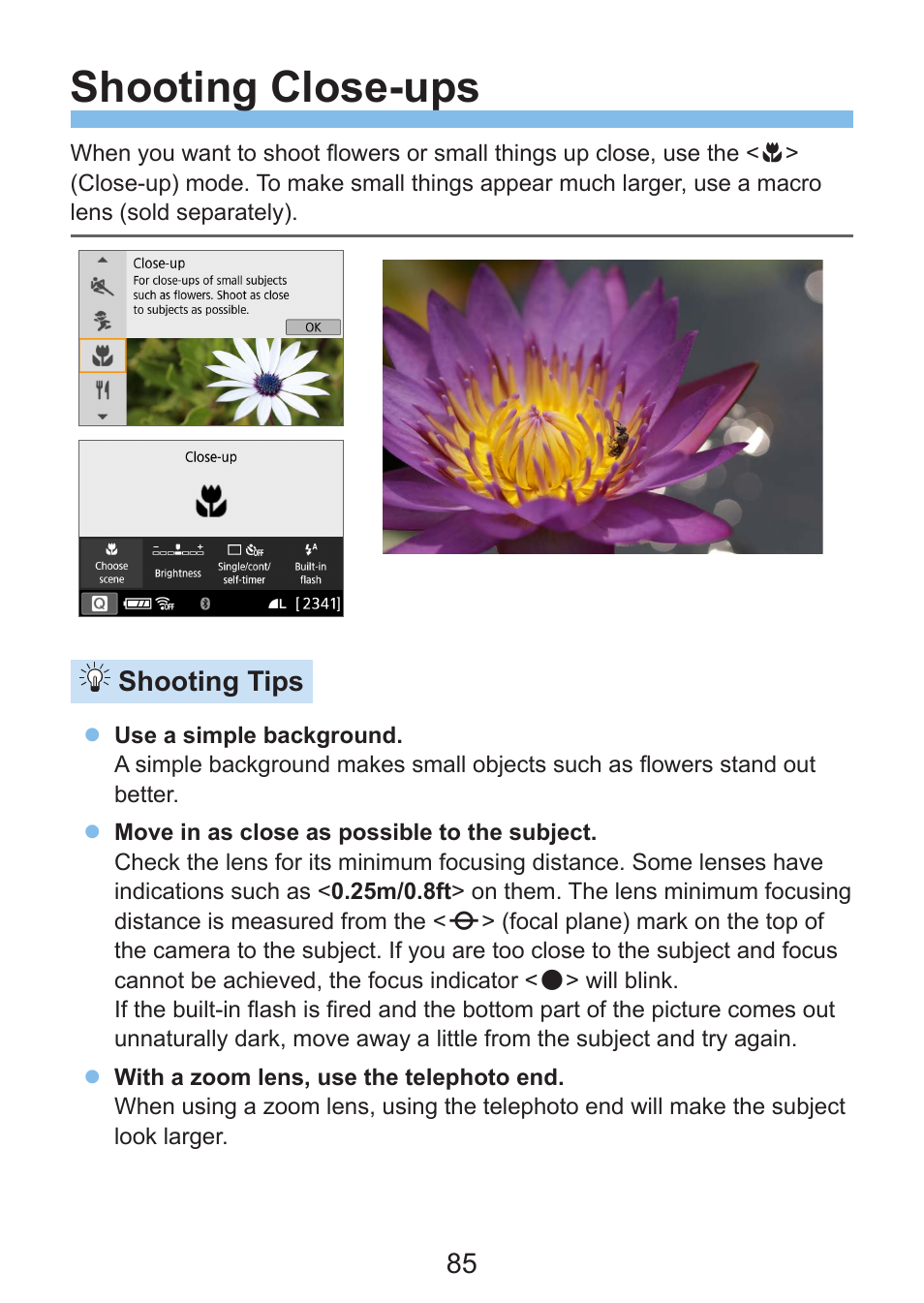 Shooting close-ups, Shooting tips | Canon EOS Rebel SL3 DSLR Camera with 18-55mm Lens (Black) User Manual | Page 85 / 493