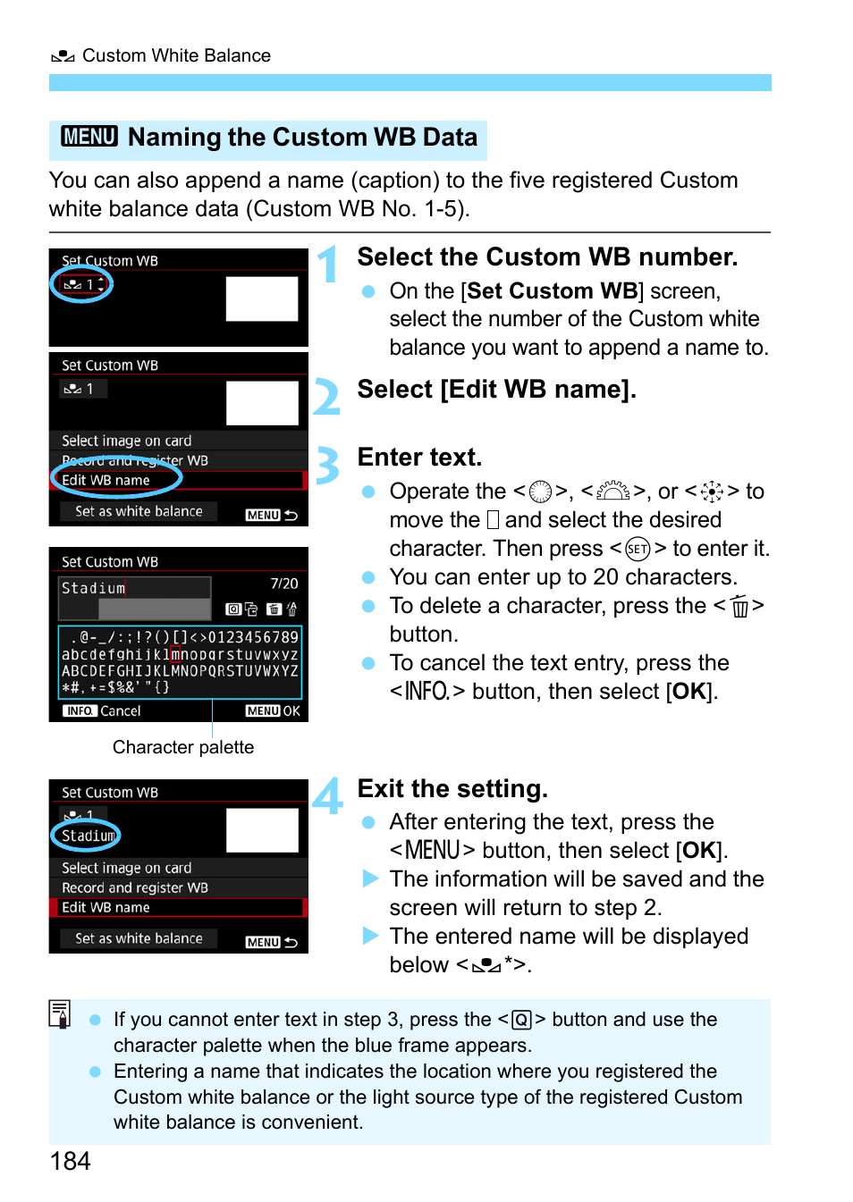 Canon EOS-1D X Mark II DSLR Camera (Body Only) User Manual | Page 184 / 564