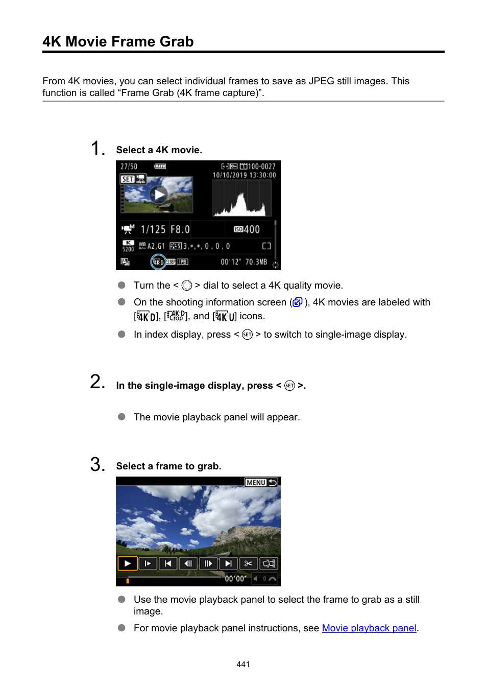 4k movie frame grab | Canon EOS-1D X Mark III DSLR Camera (Body Only) User Manual | Page 441 / 966