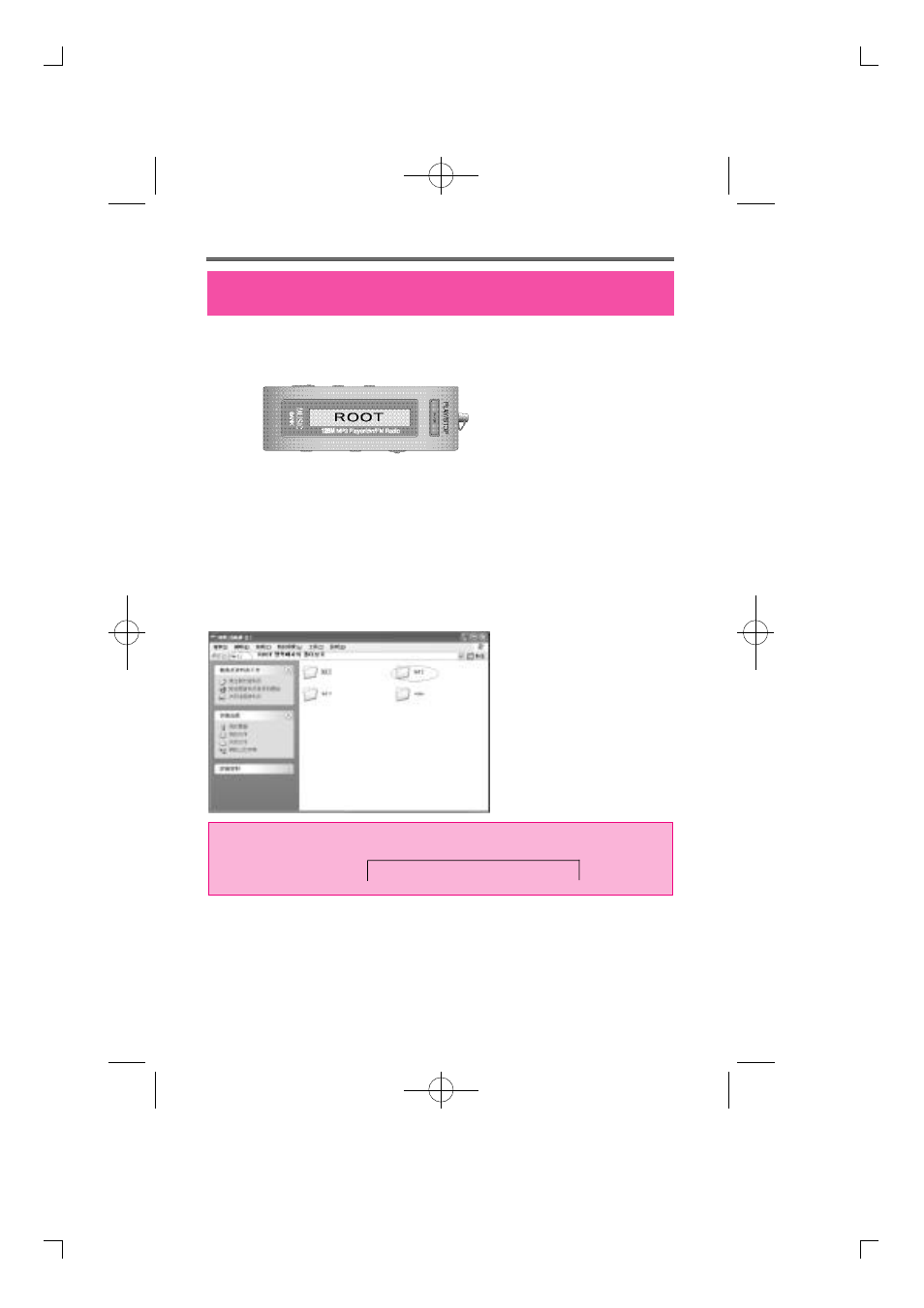 Diasonic Tech DMP-105 User Manual | Page 13 / 41
