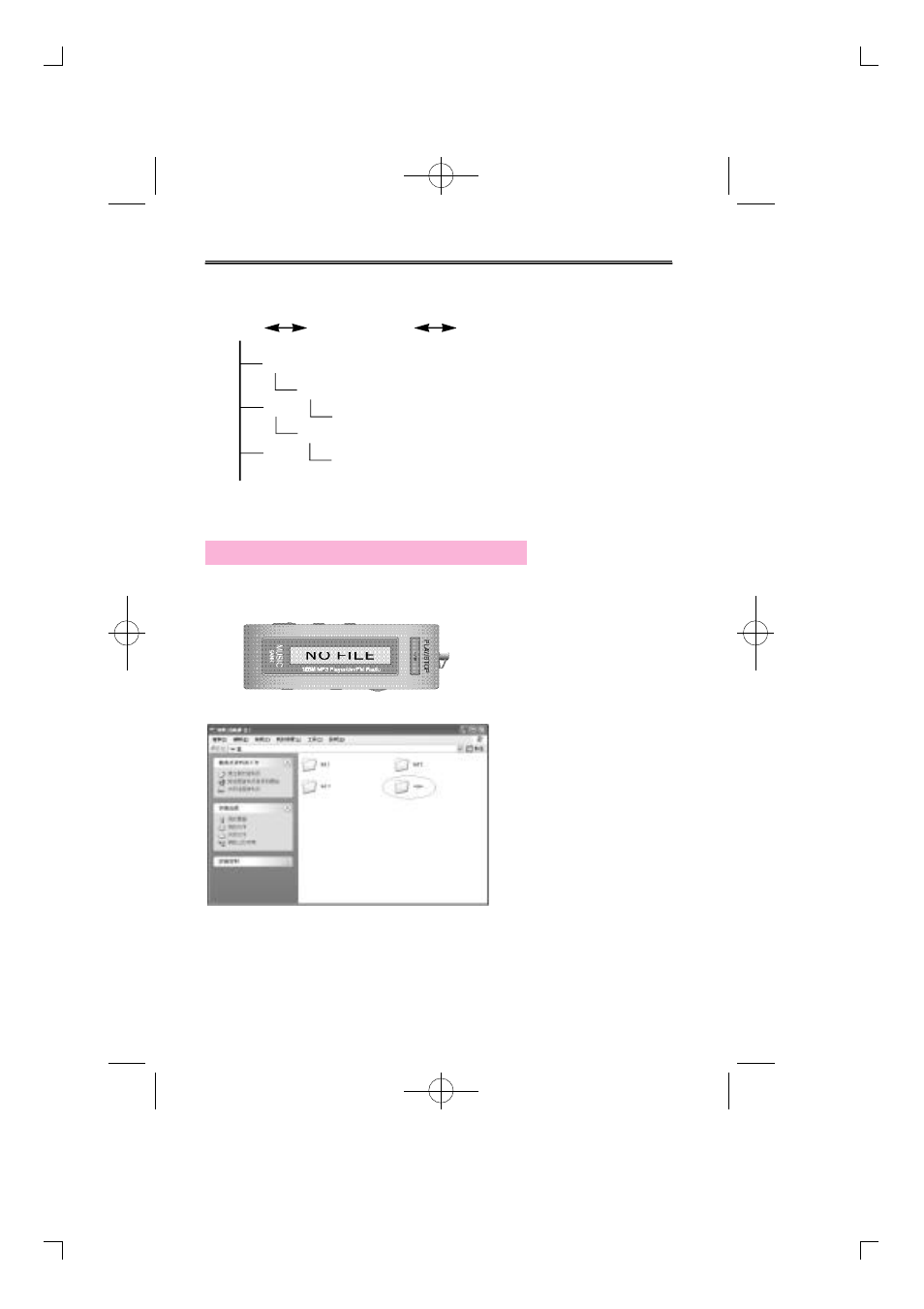 Diasonic Tech DMP-105 User Manual | Page 15 / 41