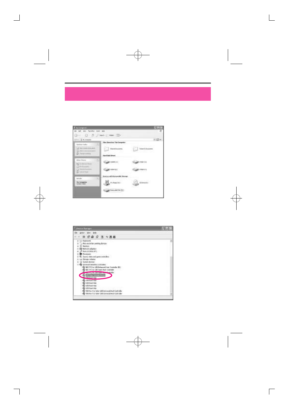 Diasonic Tech DMP-105 User Manual | Page 29 / 41
