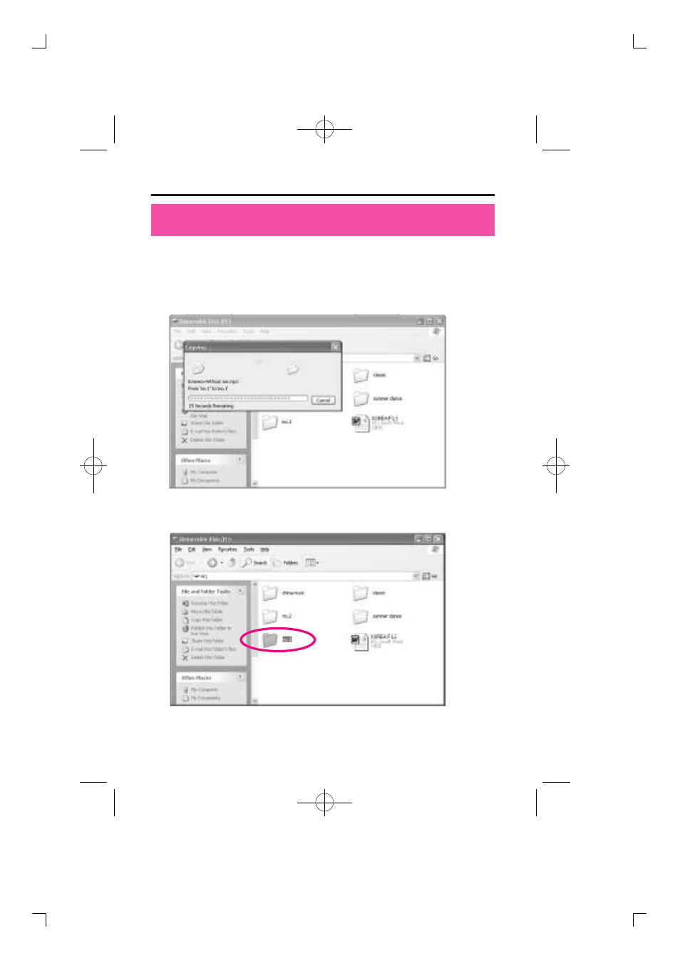 Diasonic Tech DMP-105 User Manual | Page 31 / 41