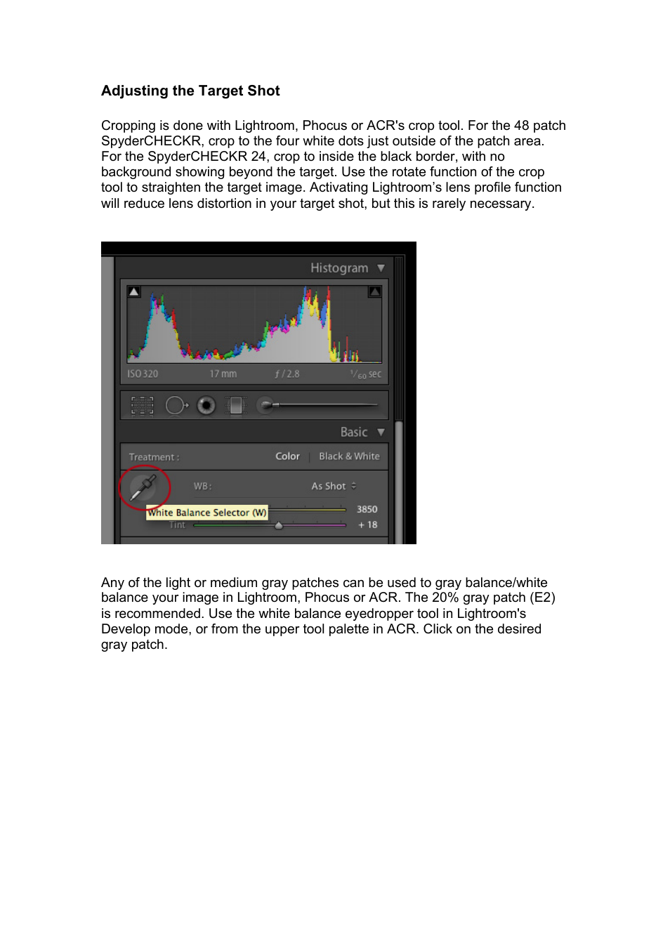 Datacolor SpyderCHECKR Color Chand Calibration Tool for Digital Cameras User Manual | Page 17 / 30