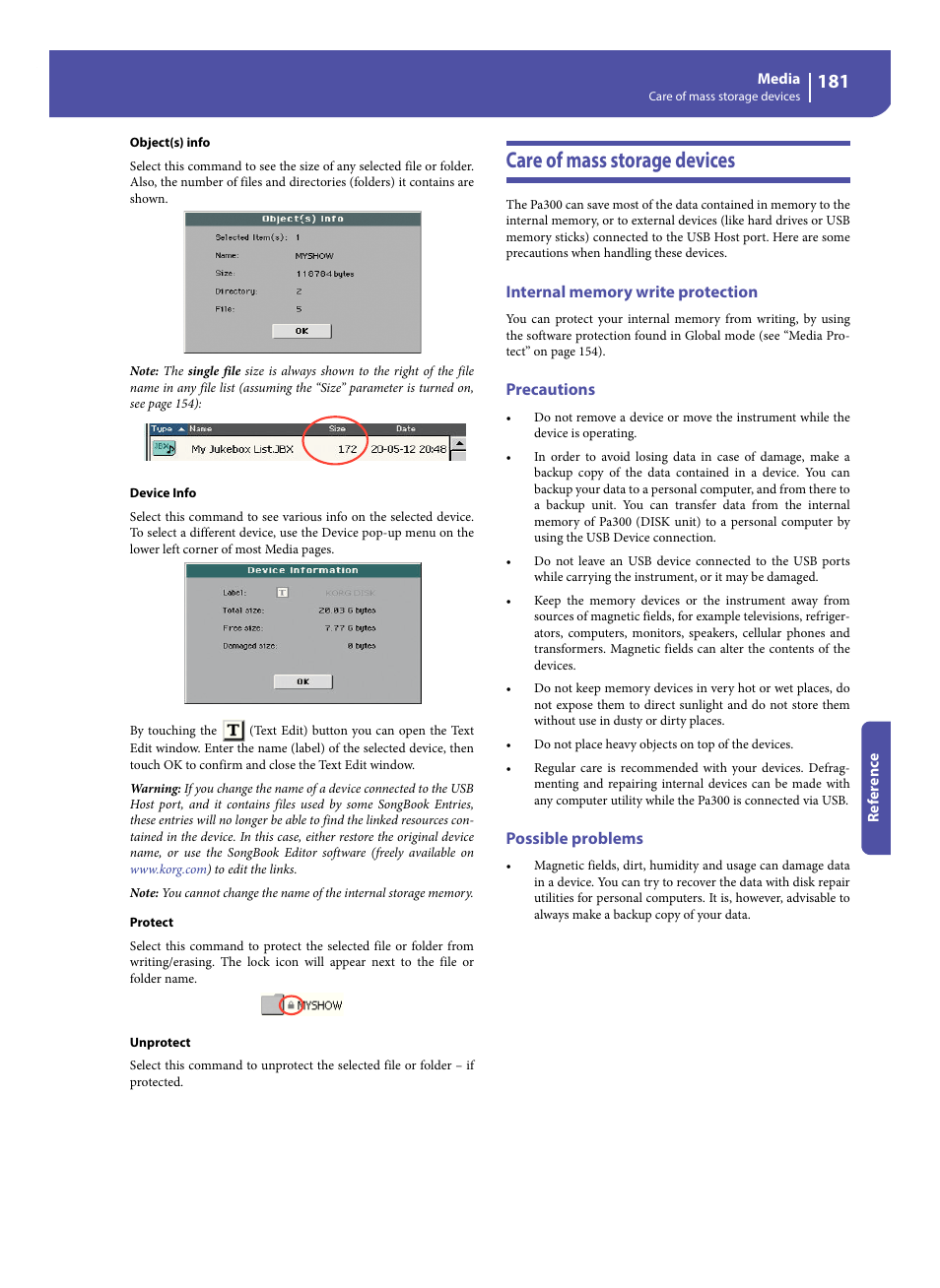 Care of mass storage devices, Internal memory write protection, Precautions | Possible problems | KORG Pa300 Arranger User Manual | Page 185 / 378