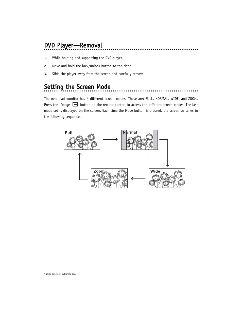 Ddv vd d p pllaayyeerr— —r reem mo ovvaall | Directed Electronics OHD901 User Manual | Page 15 / 42