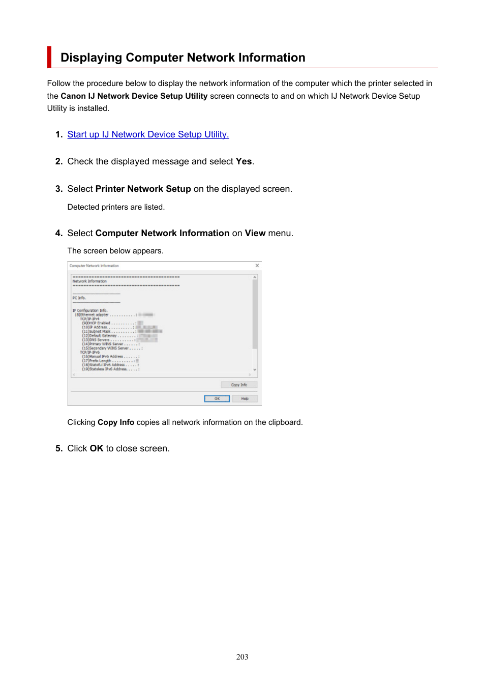 Displaying computer network information | Canon imagePROGRAF PRO-300 13" Photographic Inkjet Printer User Manual | Page 203 / 650
