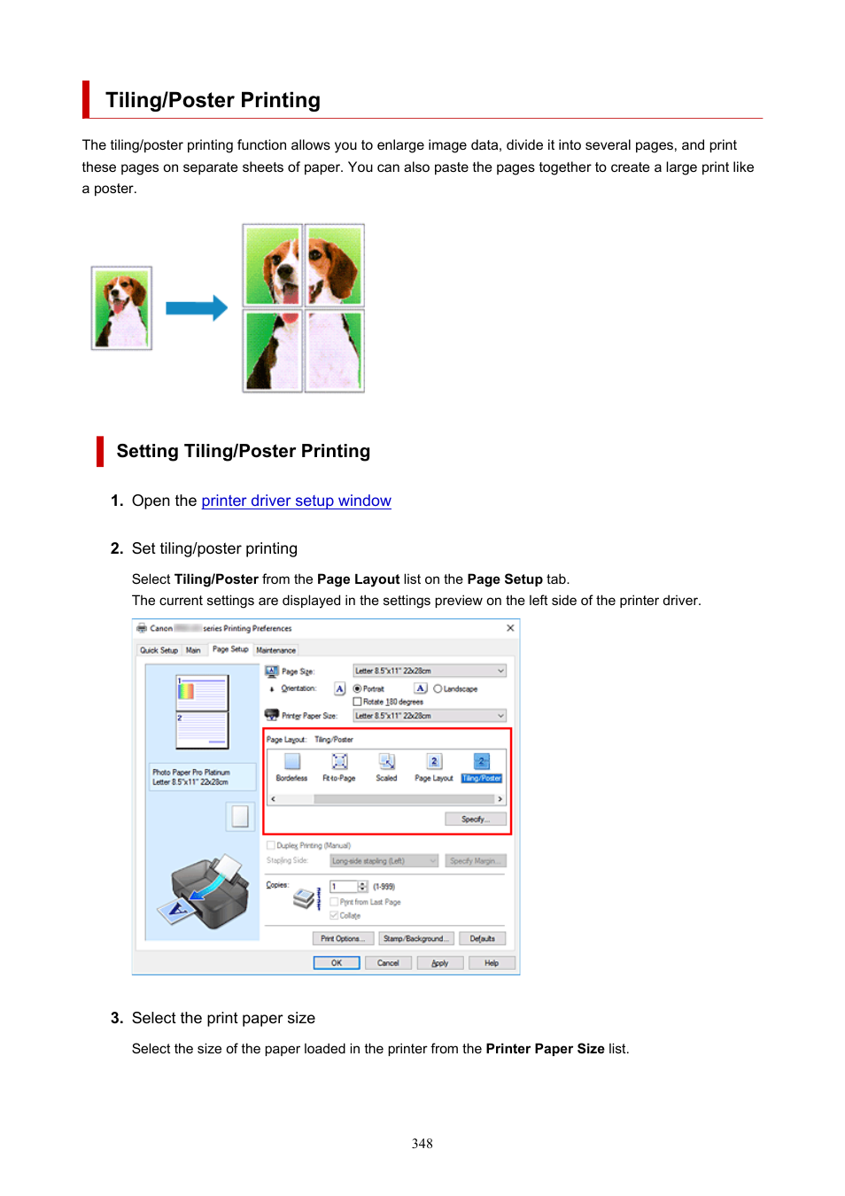 Tiling/poster printing, Setting tiling/poster printing | Canon imagePROGRAF PRO-300 13" Photographic Inkjet Printer User Manual | Page 348 / 650