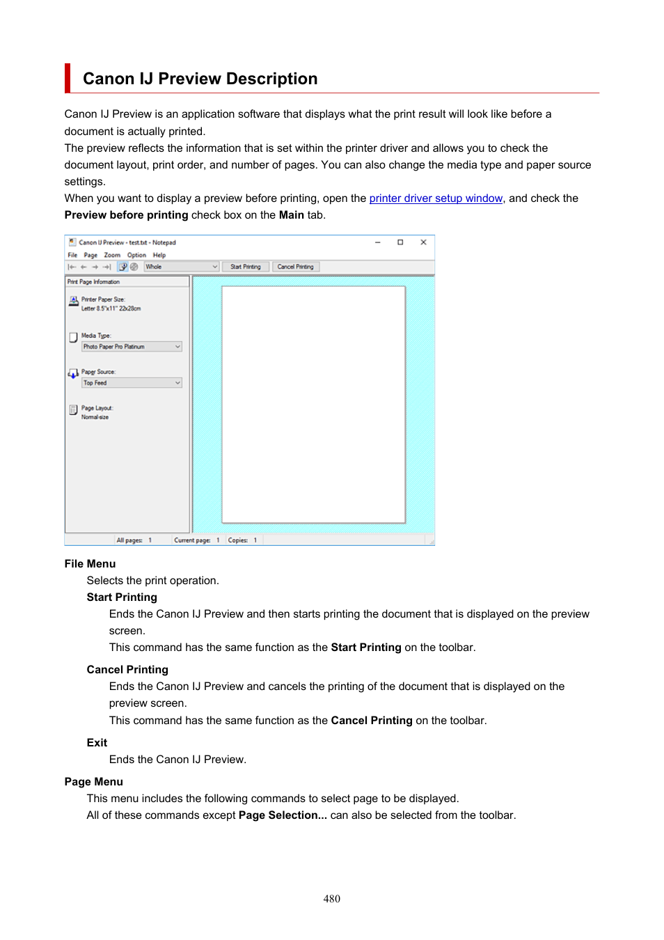 Canon ij preview description | Canon imagePROGRAF PRO-300 13" Photographic Inkjet Printer User Manual | Page 480 / 650