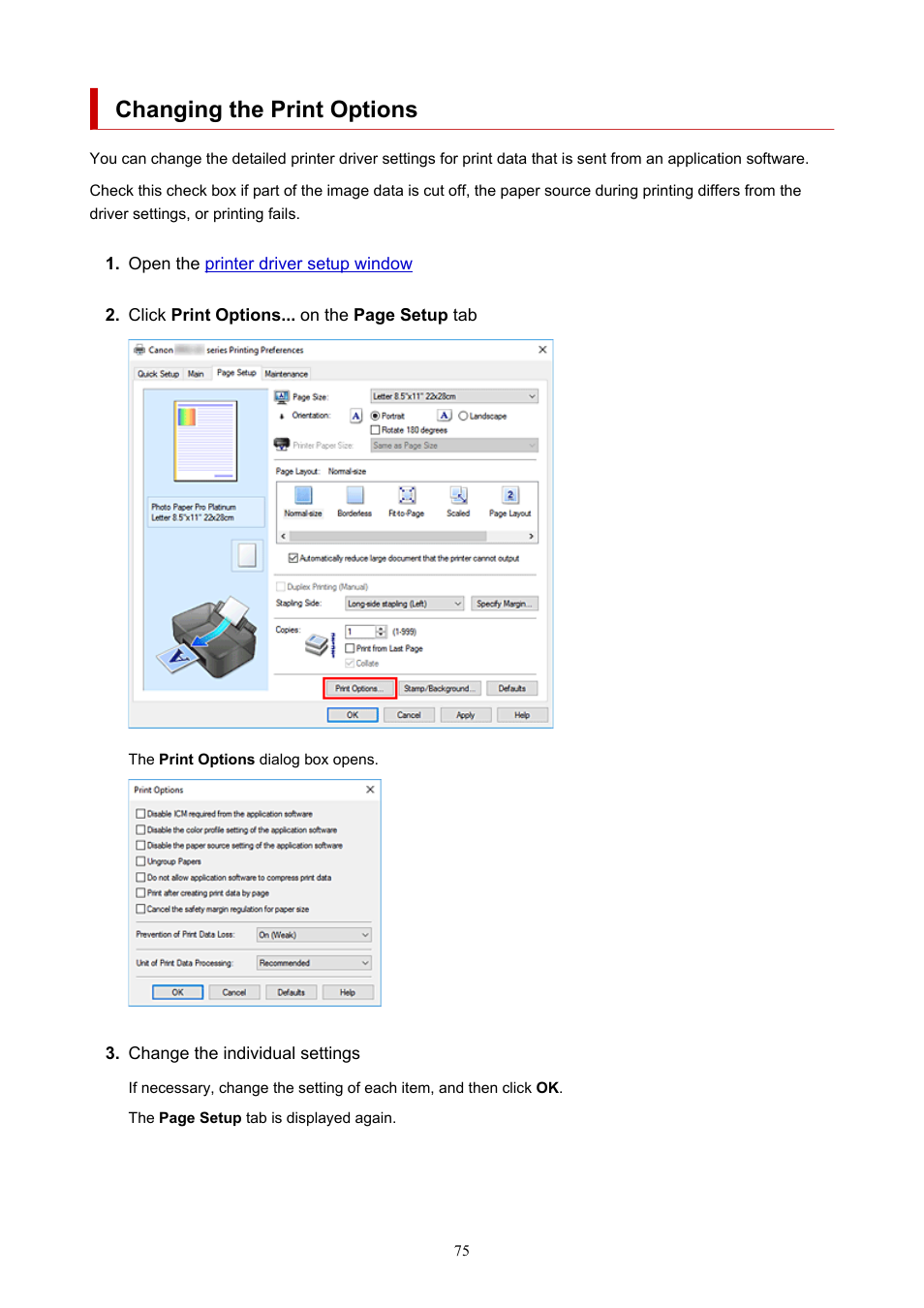 Changing the print options | Canon imagePROGRAF PRO-300 13" Photographic Inkjet Printer User Manual | Page 75 / 650