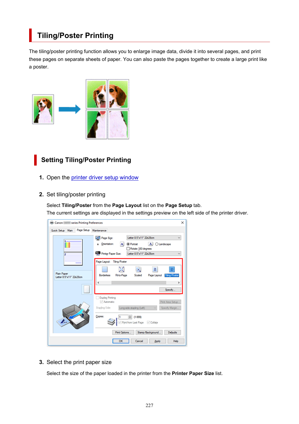 Tiling/poster printing, Setting tiling/poster printing | Canon PIXMA G5020 Wireless MegaTank Printer User Manual | Page 227 / 422