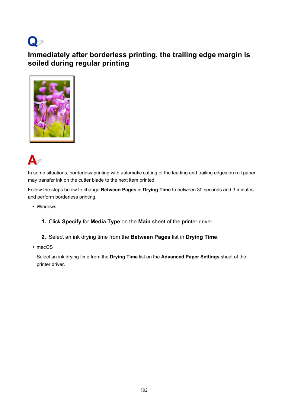 Canon imagePROGRAF TX-3100 36" Printer with Basket User Manual | Page 802 / 1073