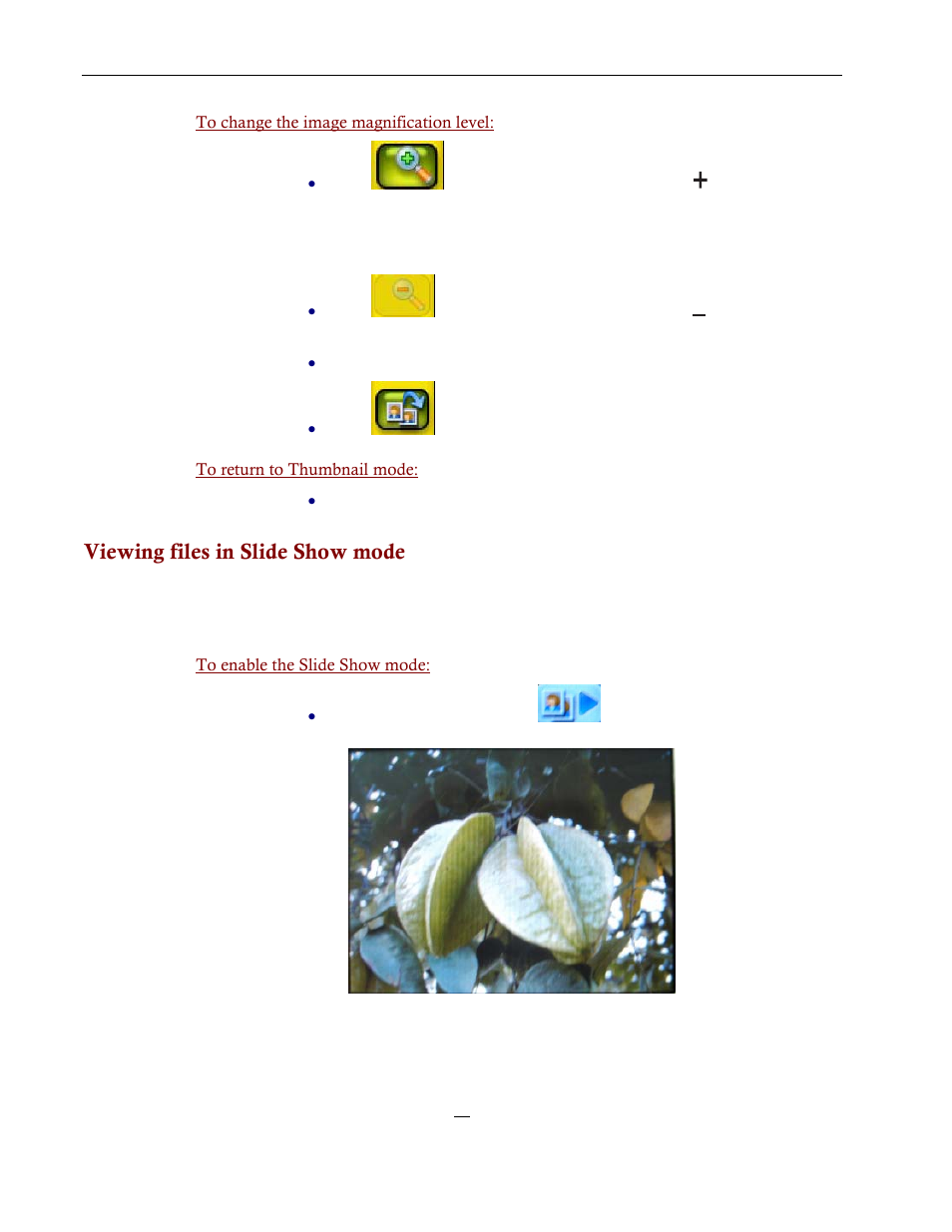 Viewing files in slide show mode | Directed Electronics NAV350 User Manual | Page 45 / 71