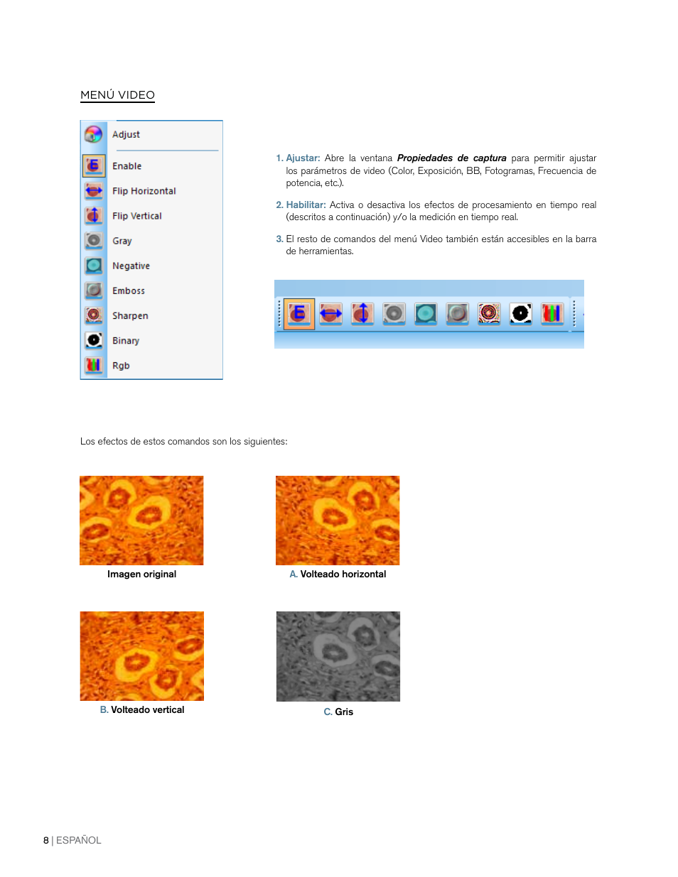 Celestron 2MP Digital Microscope Imager User Manual | Page 59 / 85