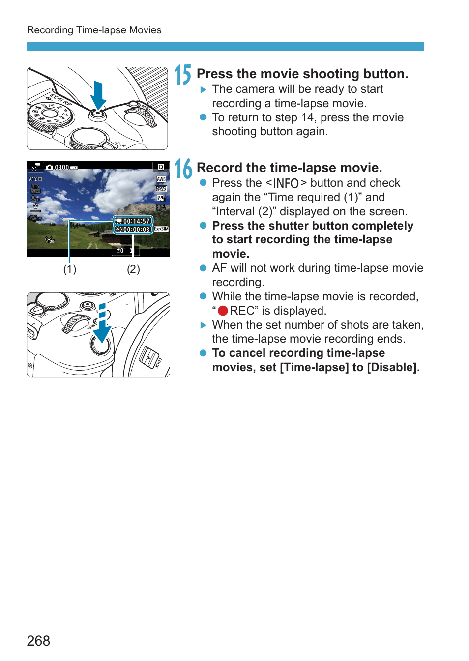 Canon EOS RP Mirrorless Camera User Manual | Page 268 / 612