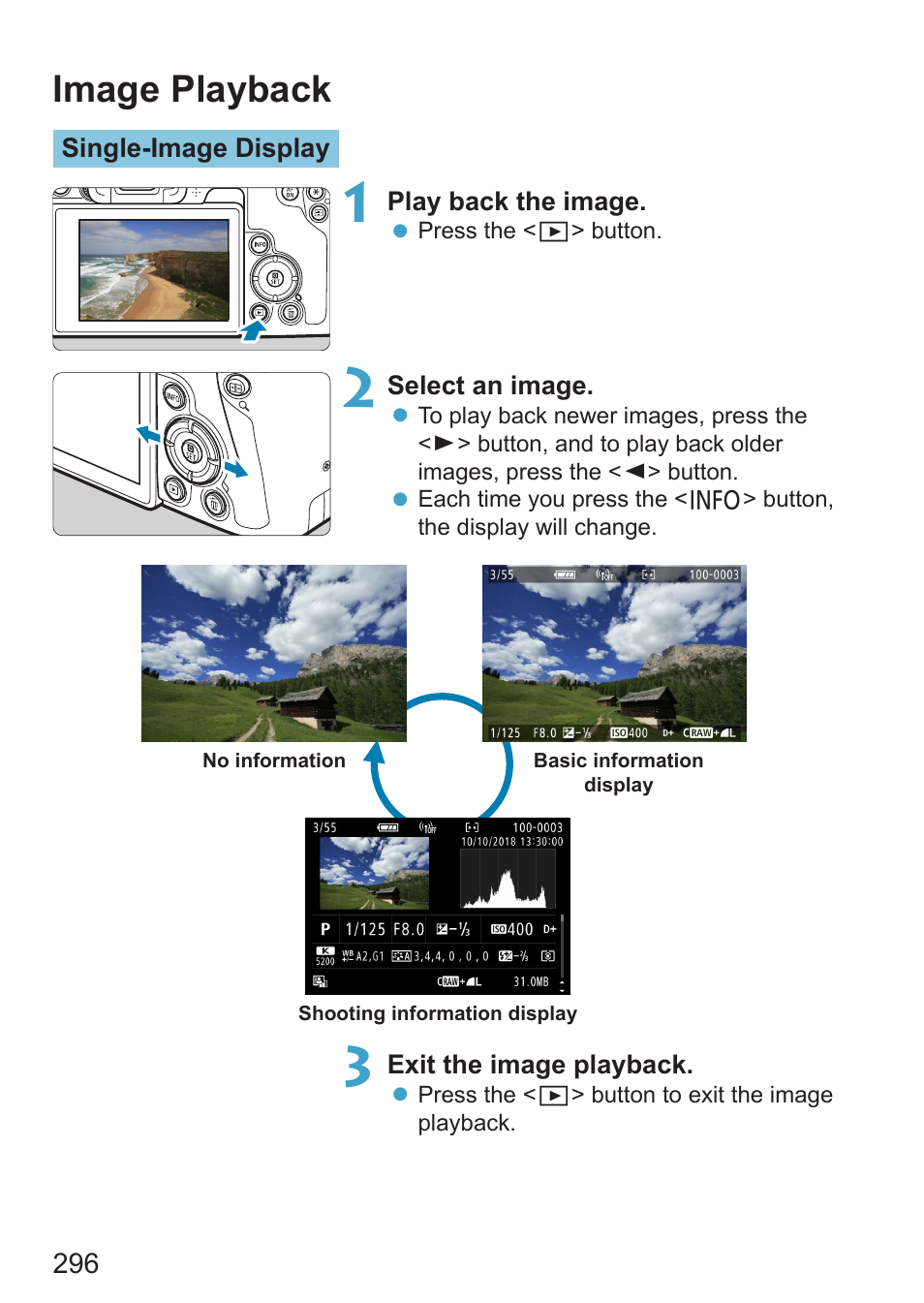 Image playback, Button, 296) to check focus | Canon EOS RP Mirrorless Camera User Manual | Page 296 / 612