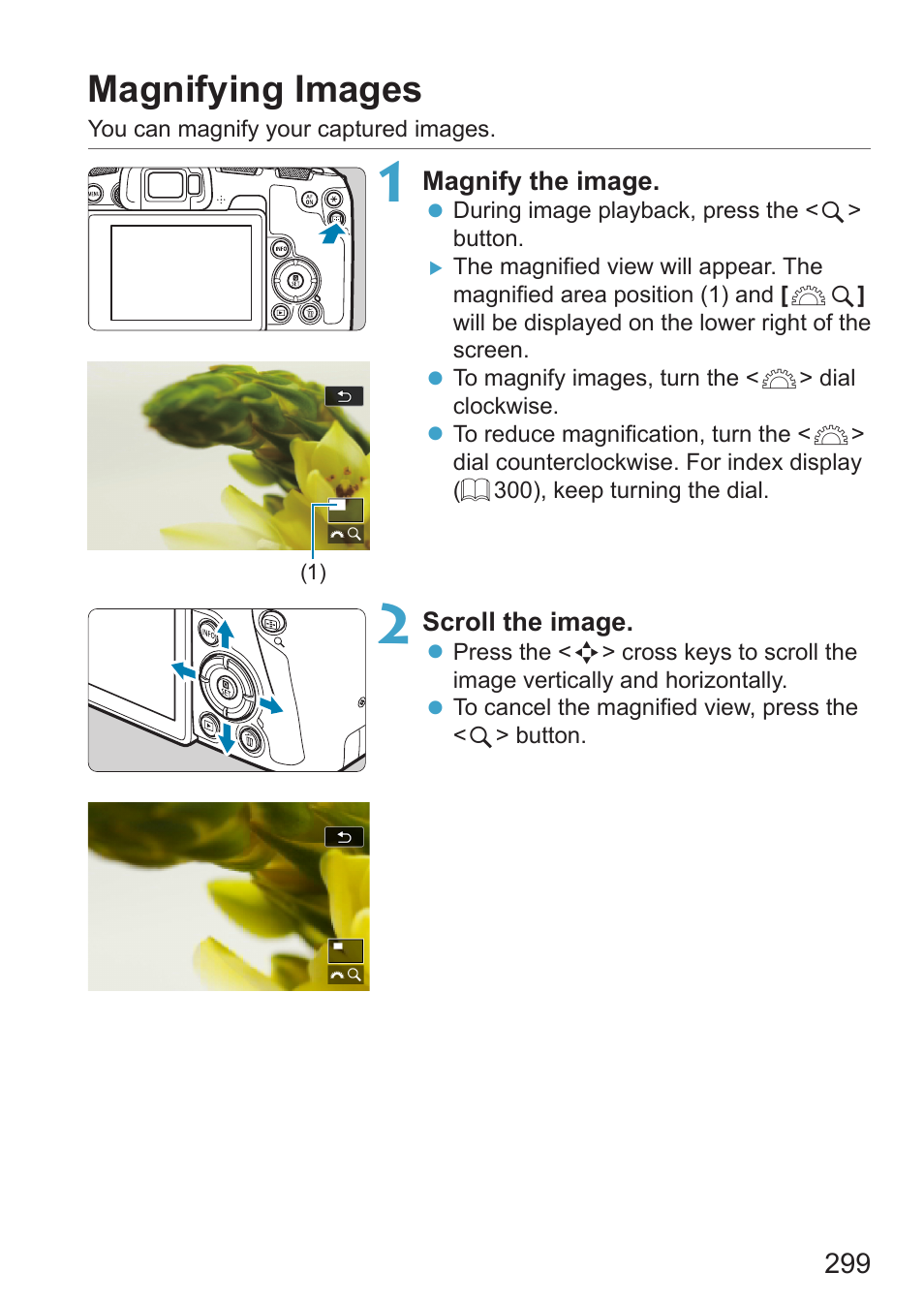 Magnifying images | Canon EOS RP Mirrorless Camera User Manual | Page 299 / 612