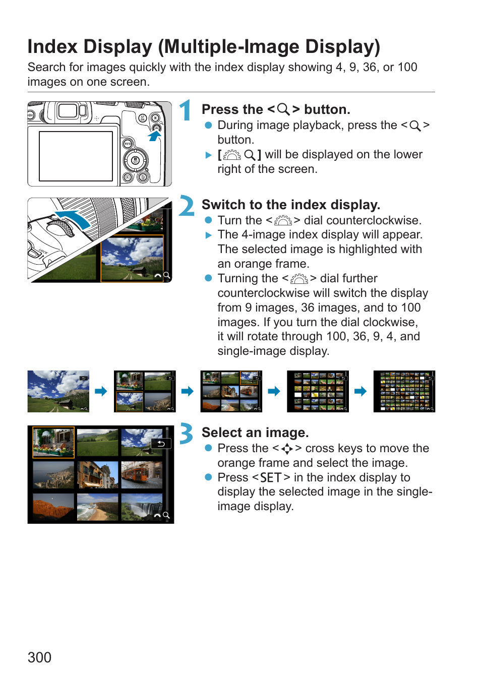 Index display (multiple-image display) | Canon EOS RP Mirrorless Camera User Manual | Page 300 / 612