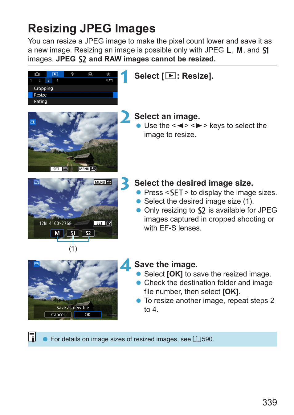 Resizing jpeg images, Resizing jpegs, 339), then print the index print | Canon EOS RP Mirrorless Camera User Manual | Page 339 / 612