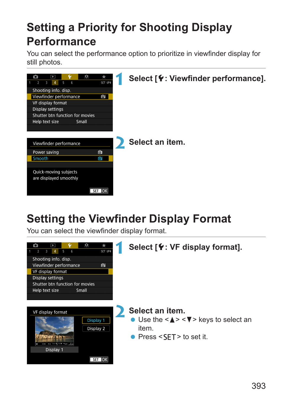 Setting the viewfinder display format, Iewfinder display format | Canon EOS RP Mirrorless Camera User Manual | Page 393 / 612