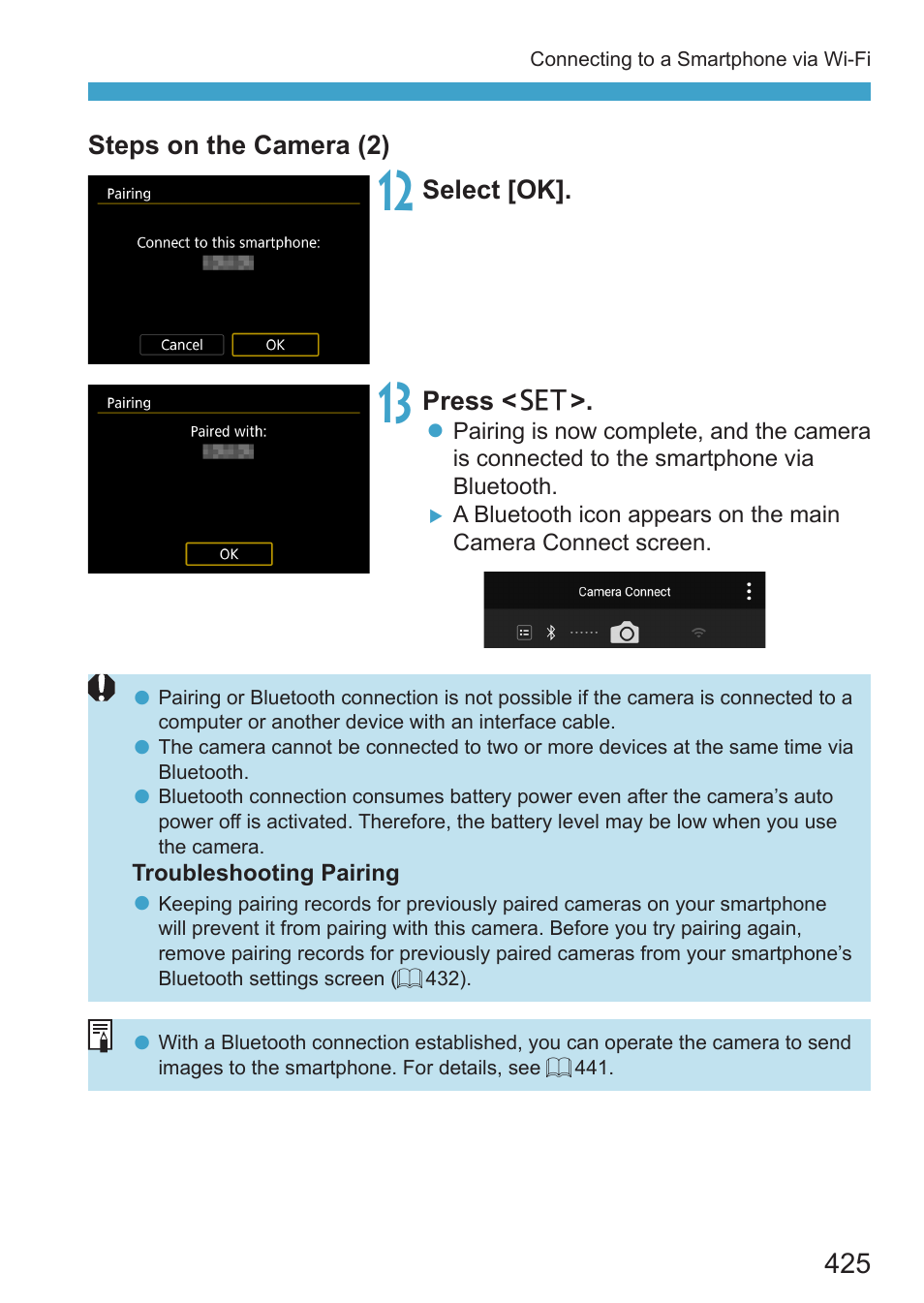 Canon EOS RP Mirrorless Camera User Manual | Page 425 / 612