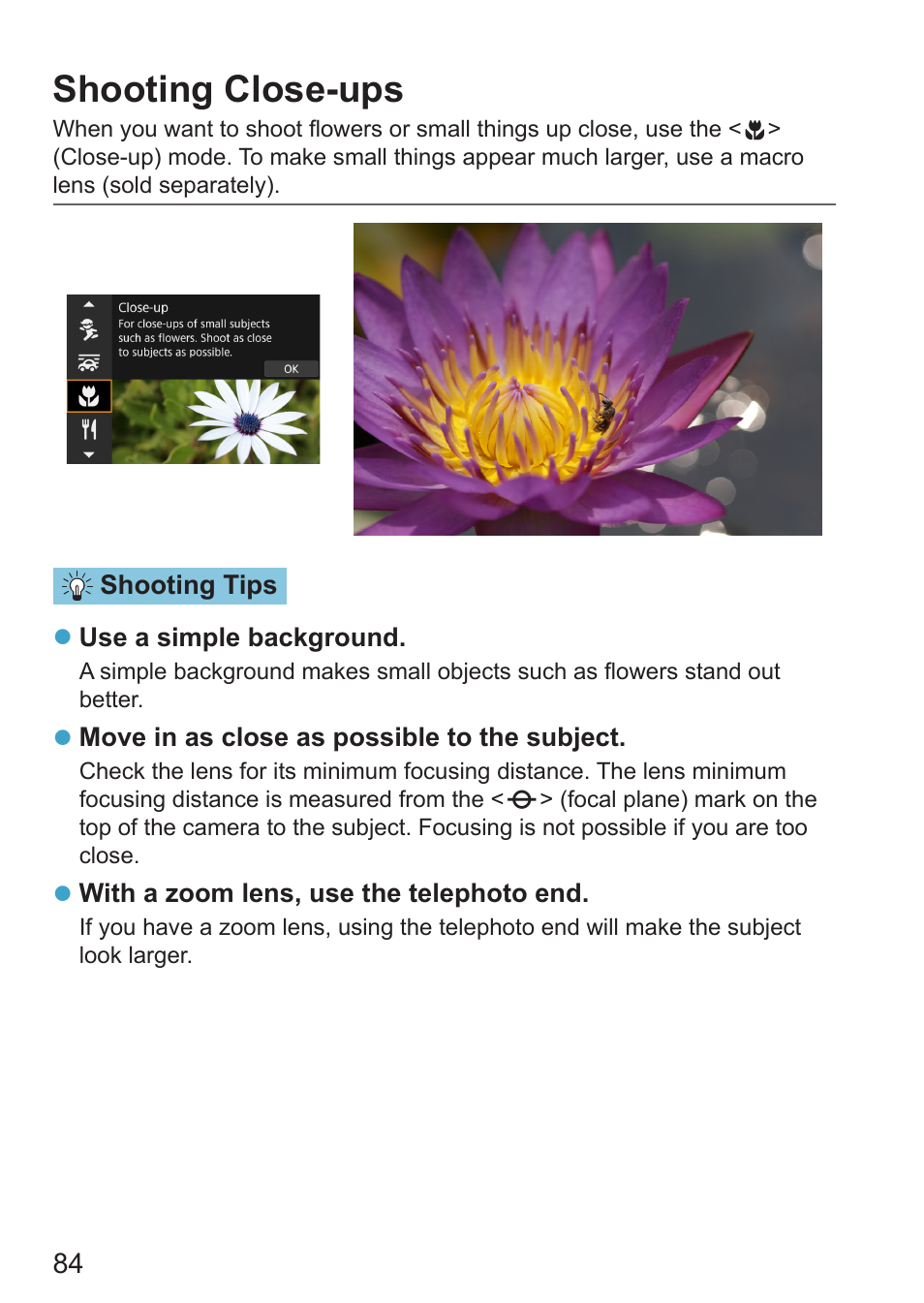 Shooting close-ups, Close-up | Canon EOS RP Mirrorless Camera User Manual | Page 84 / 612