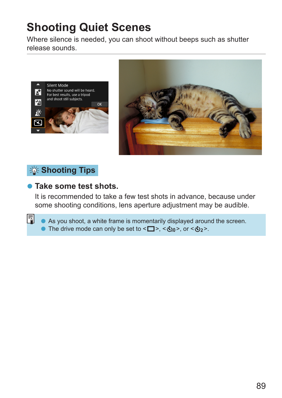 Shooting quiet scenes, Silent mode | Canon EOS RP Mirrorless Camera User Manual | Page 89 / 612