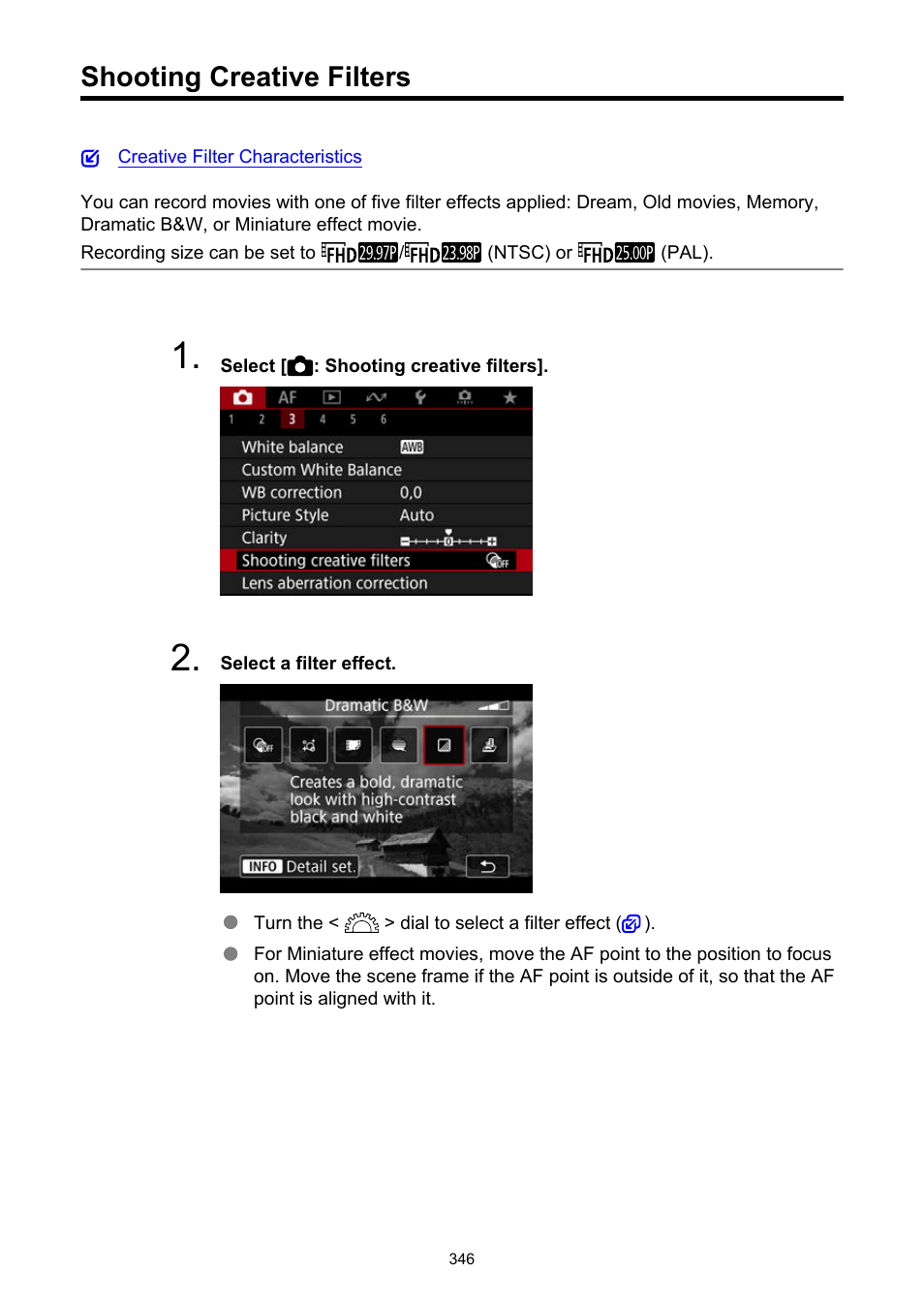 Shooting creative filters | Canon EOS R50 Mirrorless Camera (White) User Manual | Page 346 / 810