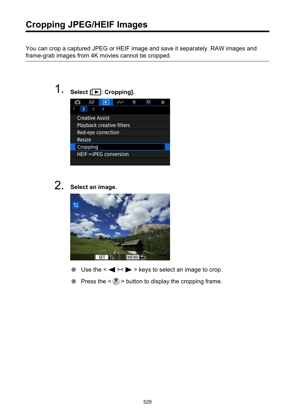 Cropping jpeg/heif images, Cropping | Canon EOS R50 Mirrorless Camera (White) User Manual | Page 529 / 810