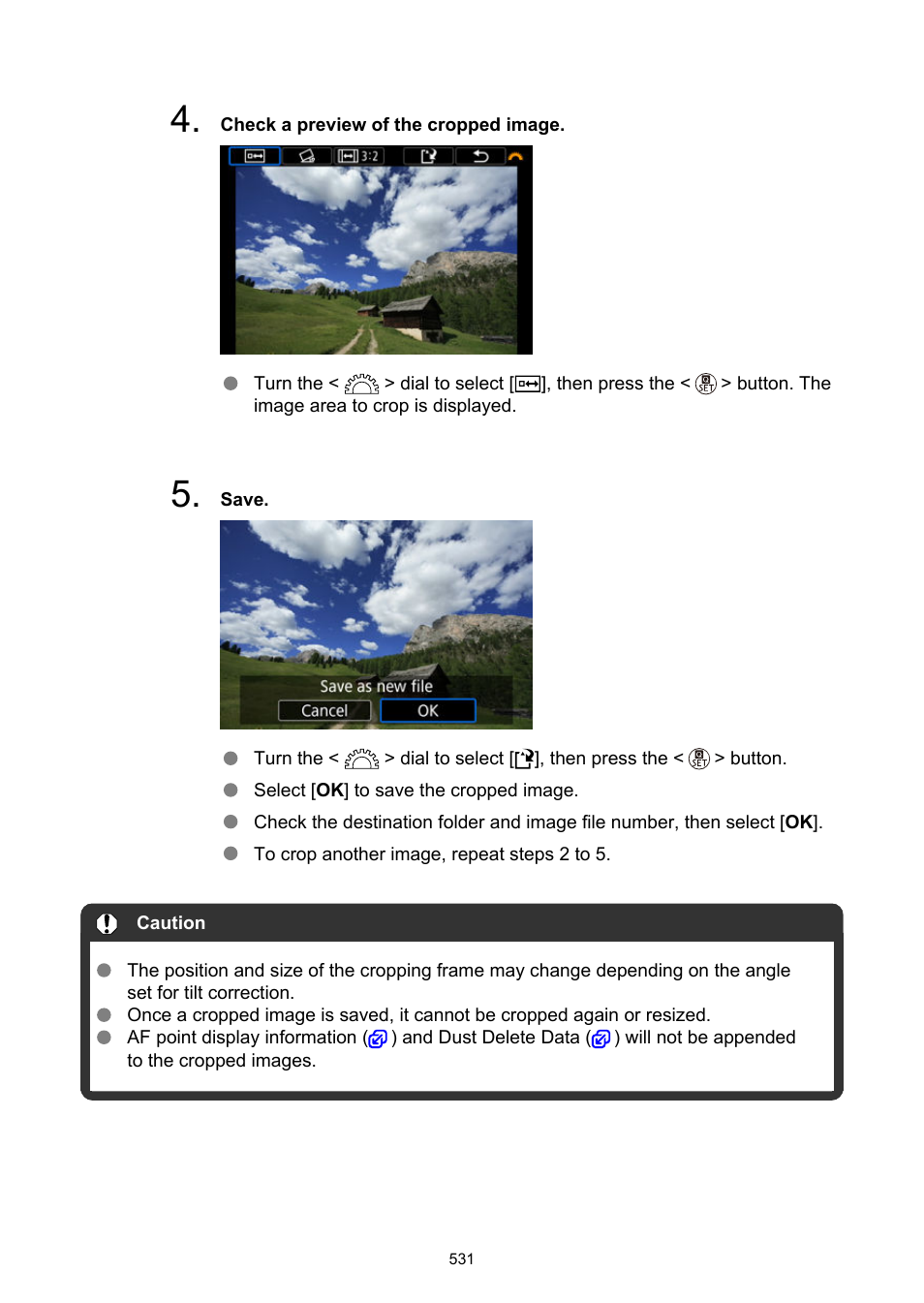 Canon EOS R50 Mirrorless Camera (White) User Manual | Page 531 / 810