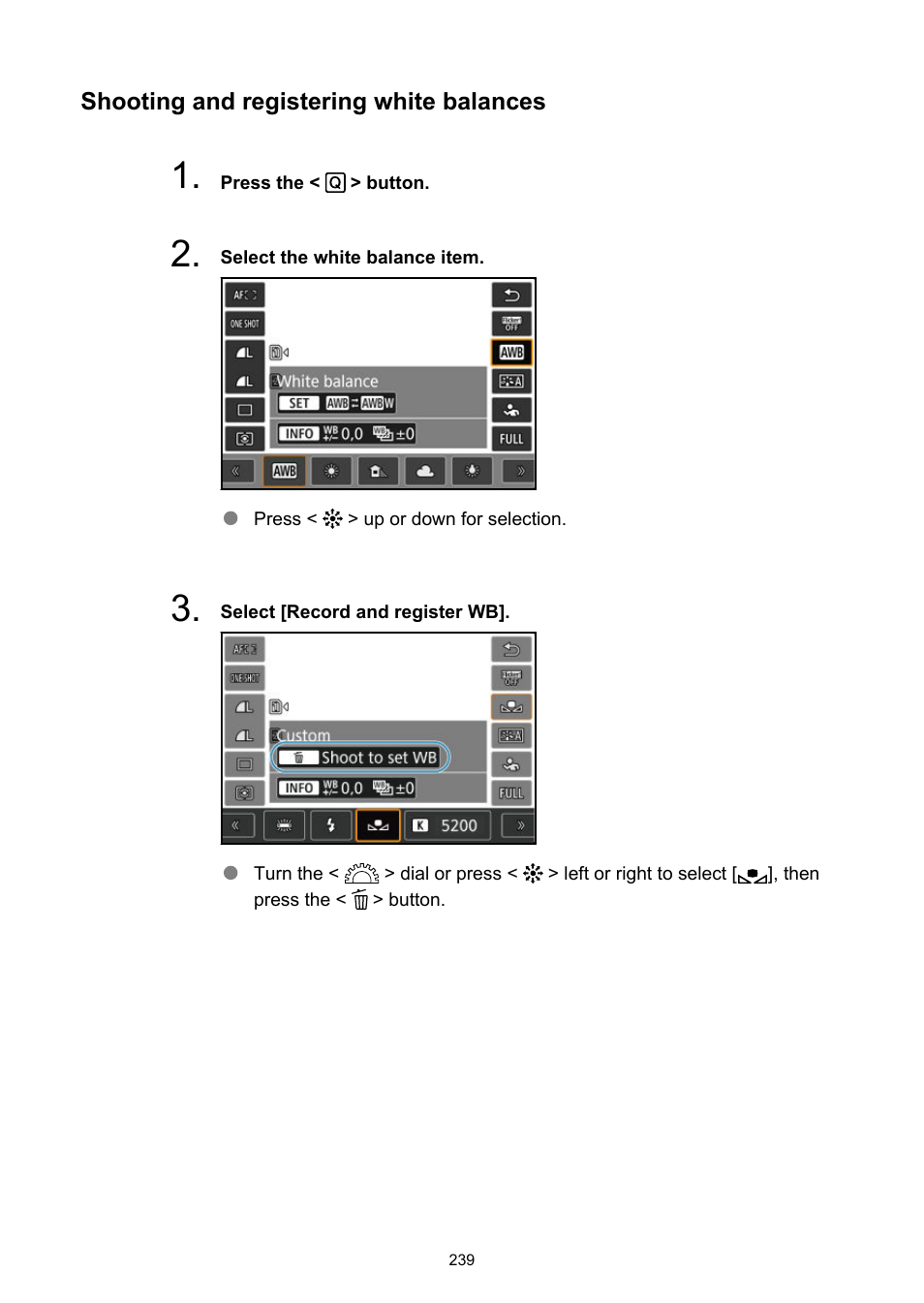 Canon EOS R6 Mark II Mirrorless Camera with 24-105mm f/4-7.1 Lens User Manual | Page 239 / 1074