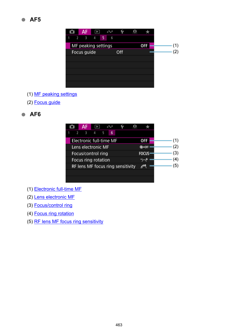 Canon EOS R6 Mark II Mirrorless Camera with 24-105mm f/4-7.1 Lens User Manual | Page 463 / 1074