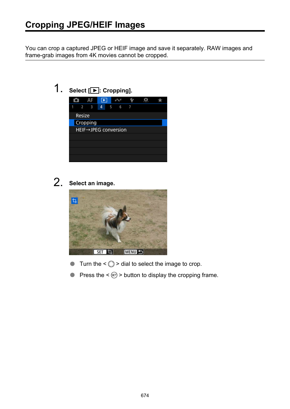 Cropping jpeg/heif images, Cropping | Canon EOS R6 Mark II Mirrorless Camera with 24-105mm f/4-7.1 Lens User Manual | Page 674 / 1074