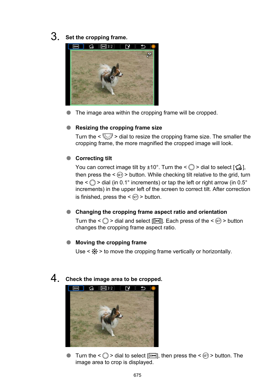 Canon EOS R6 Mark II Mirrorless Camera with 24-105mm f/4-7.1 Lens User Manual | Page 675 / 1074
