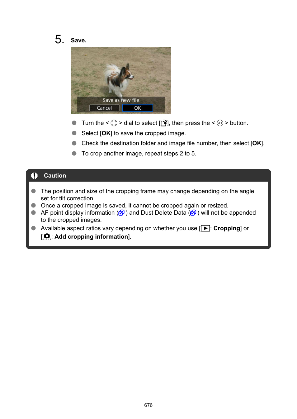 Canon EOS R6 Mark II Mirrorless Camera with 24-105mm f/4-7.1 Lens User Manual | Page 676 / 1074
