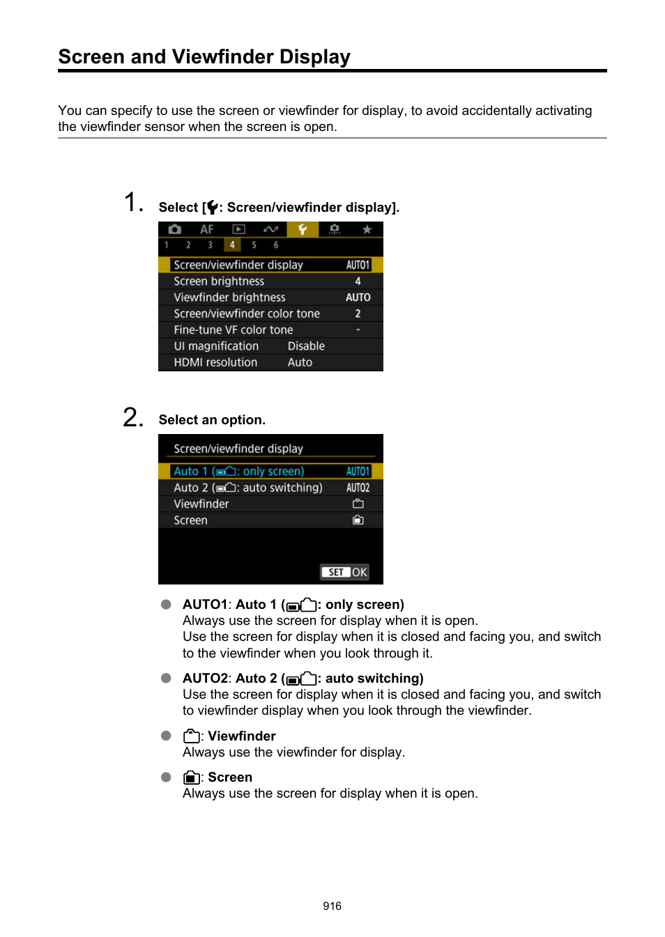 Screen and viewfinder display, Screen/viewfinder display | Canon EOS R6 Mark II Mirrorless Camera with 24-105mm f/4-7.1 Lens User Manual | Page 916 / 1074